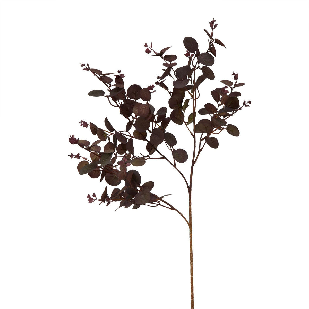 Burgundy Eucalyptus Bunch by Hill Interiors