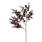 Burgundy Eucalyptus Bunch by Hill Interiors