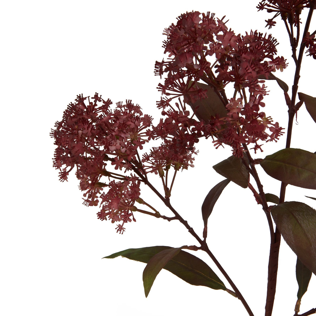Medium Burgundy Smokebush Stem by Hill Interiors - image 2