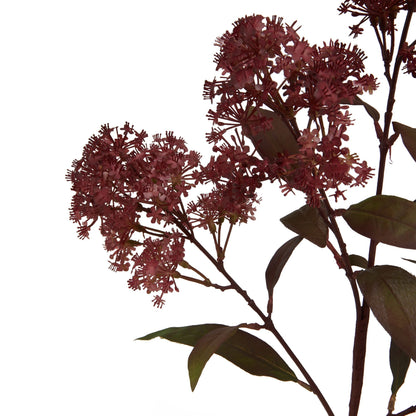 Medium Burgundy Smokebush Stem by Hill Interiors - image 2