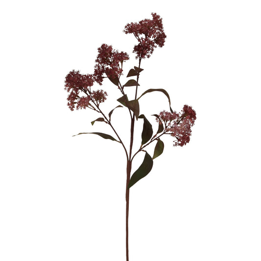 Medium Burgundy Smokebush Stem by Hill Interiors