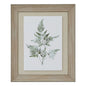 Watercolour Bracken Fern In Washed Wood Frame by Hill Interiors