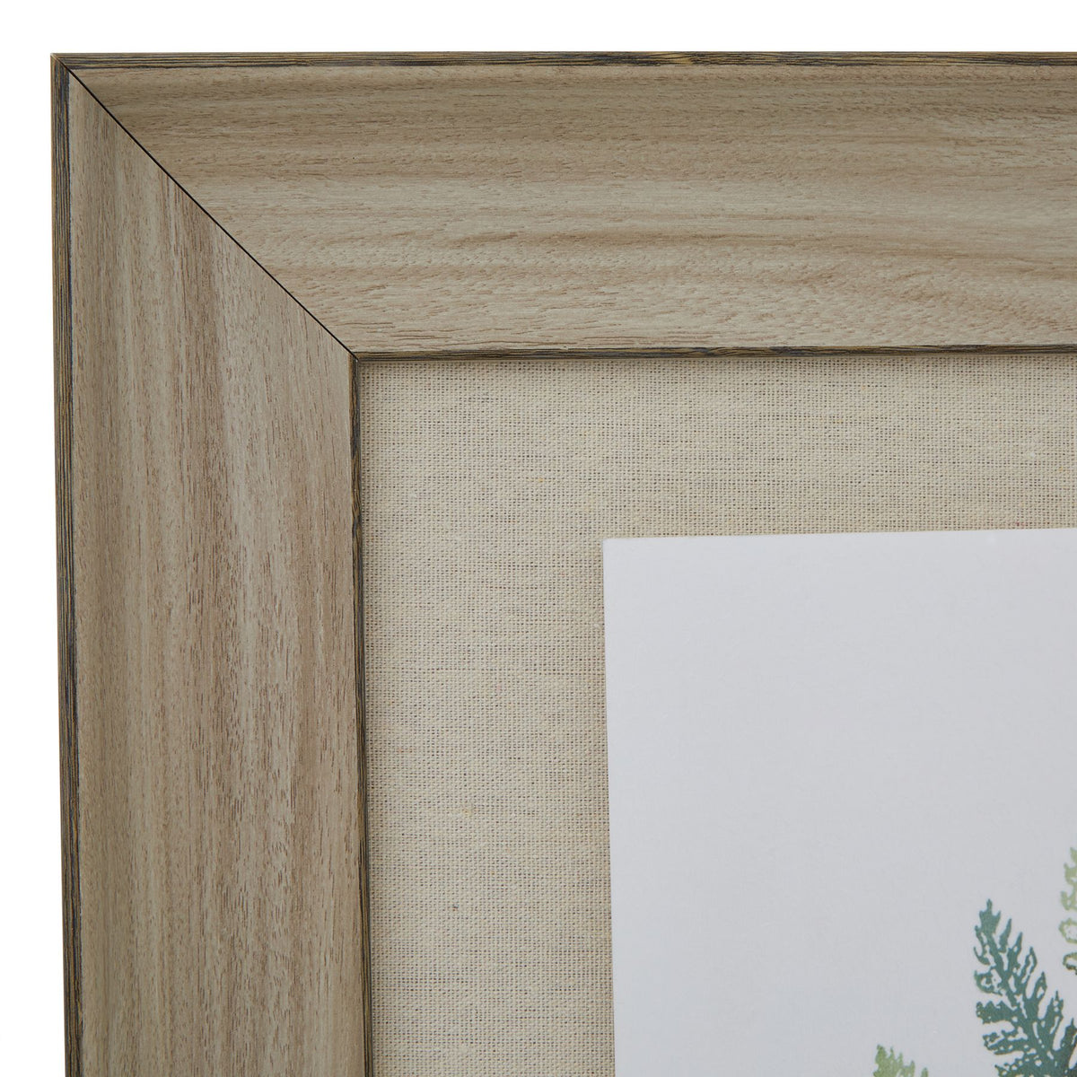 Watercolour Fern Duo In Washed Wood Frame by Hill Interiors - image 2