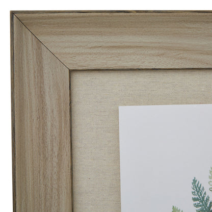 Watercolour Fern Duo In Washed Wood Frame by Hill Interiors - image 2