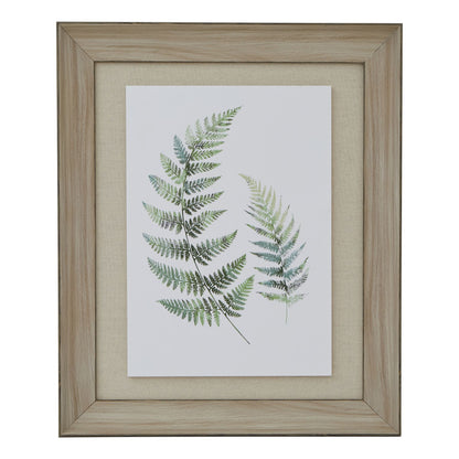 Watercolour Fern Duo In Washed Wood Frame by Hill Interiors