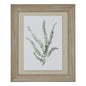 Watercolour Delicate Fern In Washed Wood Frame by Hill Interiors