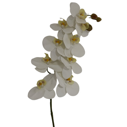 Tall White Butterfly Orchid Stem by Hill Interiors - image 2