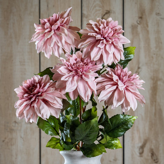 The Natural Garden Collection Pink Dahlia by Hill Interiors