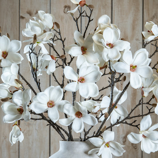 The Natural Garden Collection White Magnolia Stem by Hill Interiors