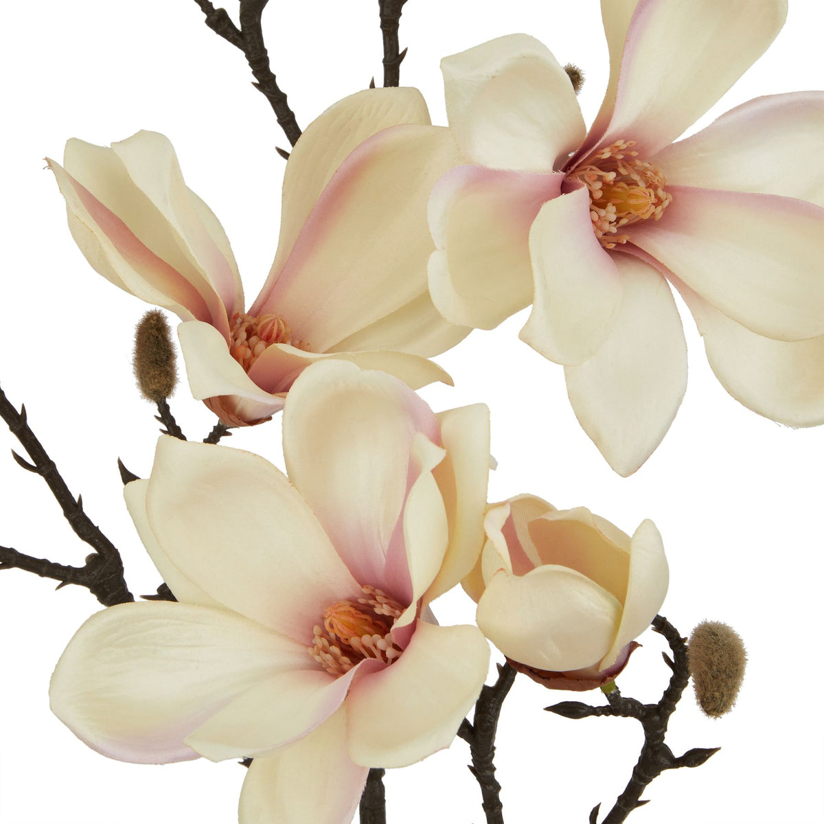 The Natural Garden Collection Pale Apricot Magnolia Stem by Hill Interiors - image 2