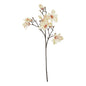 The Natural Garden Collection Pale Apricot Magnolia Stem by Hill Interiors