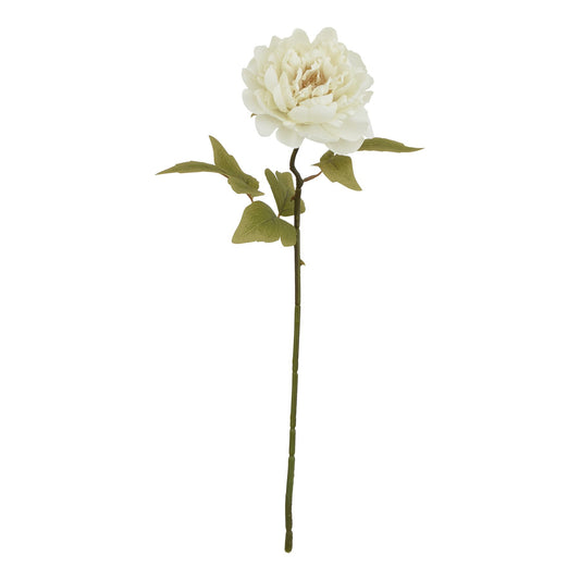 The Natural Garden Collection White Peony by Hill Interiors