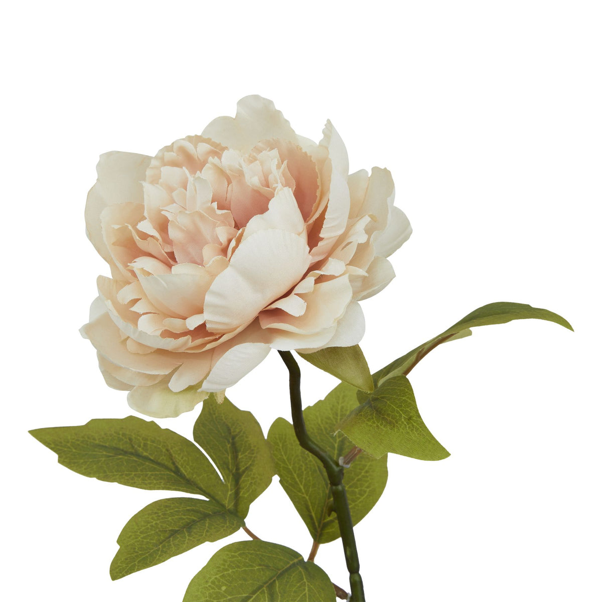 The Natural Garden Collection Blush Peony by Hill Interiors - image 2