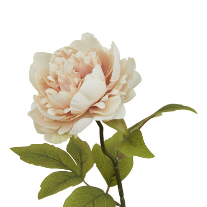 The Natural Garden Collection Blush Peony by Hill Interiors - image 2