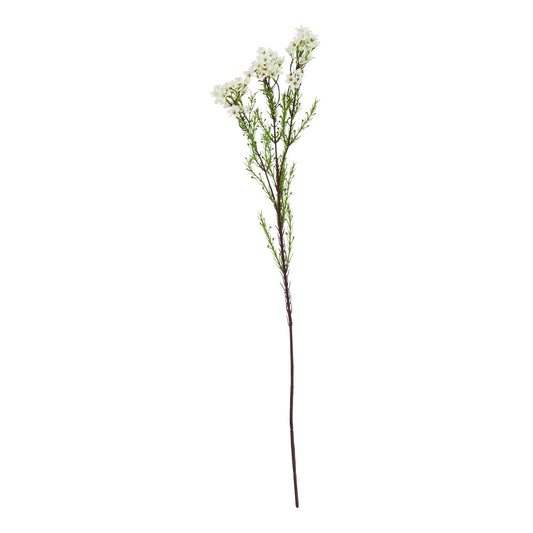 The Natural Garden Collection White Waxflower by Hill Interiors