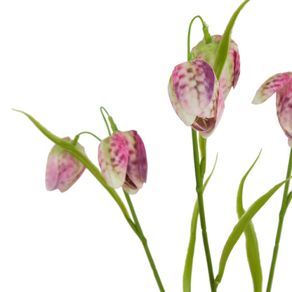 The Natural Garden Collection Purple Fritillaria Stem by Hill Interiors - image 2