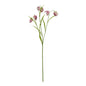 The Natural Garden Collection Purple Fritillaria Stem by Hill Interiors