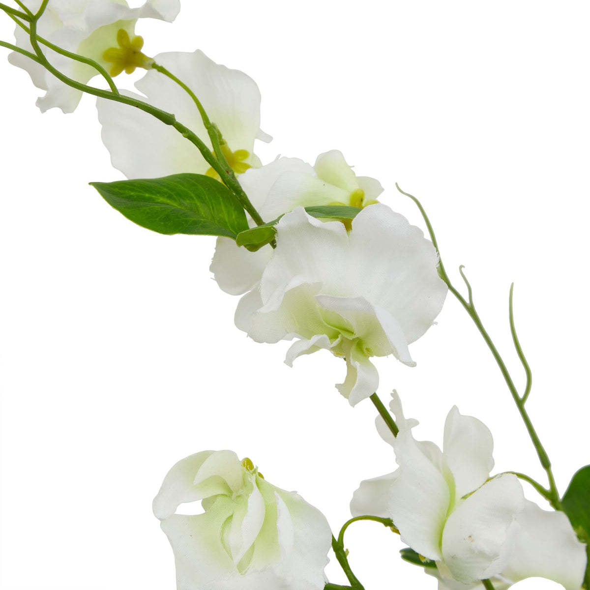 The Natural Garden Collection White Sweetpea Stem by Hill Interiors - image 2