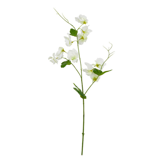 The Natural Garden Collection White Sweetpea Stem by Hill Interiors