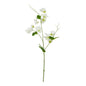 The Natural Garden Collection White Sweetpea Stem by Hill Interiors