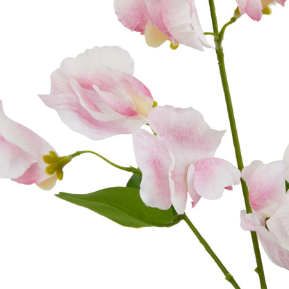 The Natural Garden Collection Pale Pink Sweetpea Stem by Hill Interiors - image 2