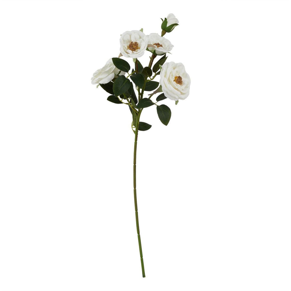 The Natural Garden Collection White Hedge Rose Stem by Hill Interiors