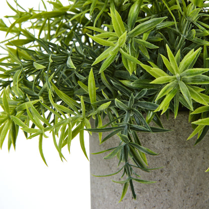 Small Bamboo Plant In Grey Pot by Hill Interiors - image 2