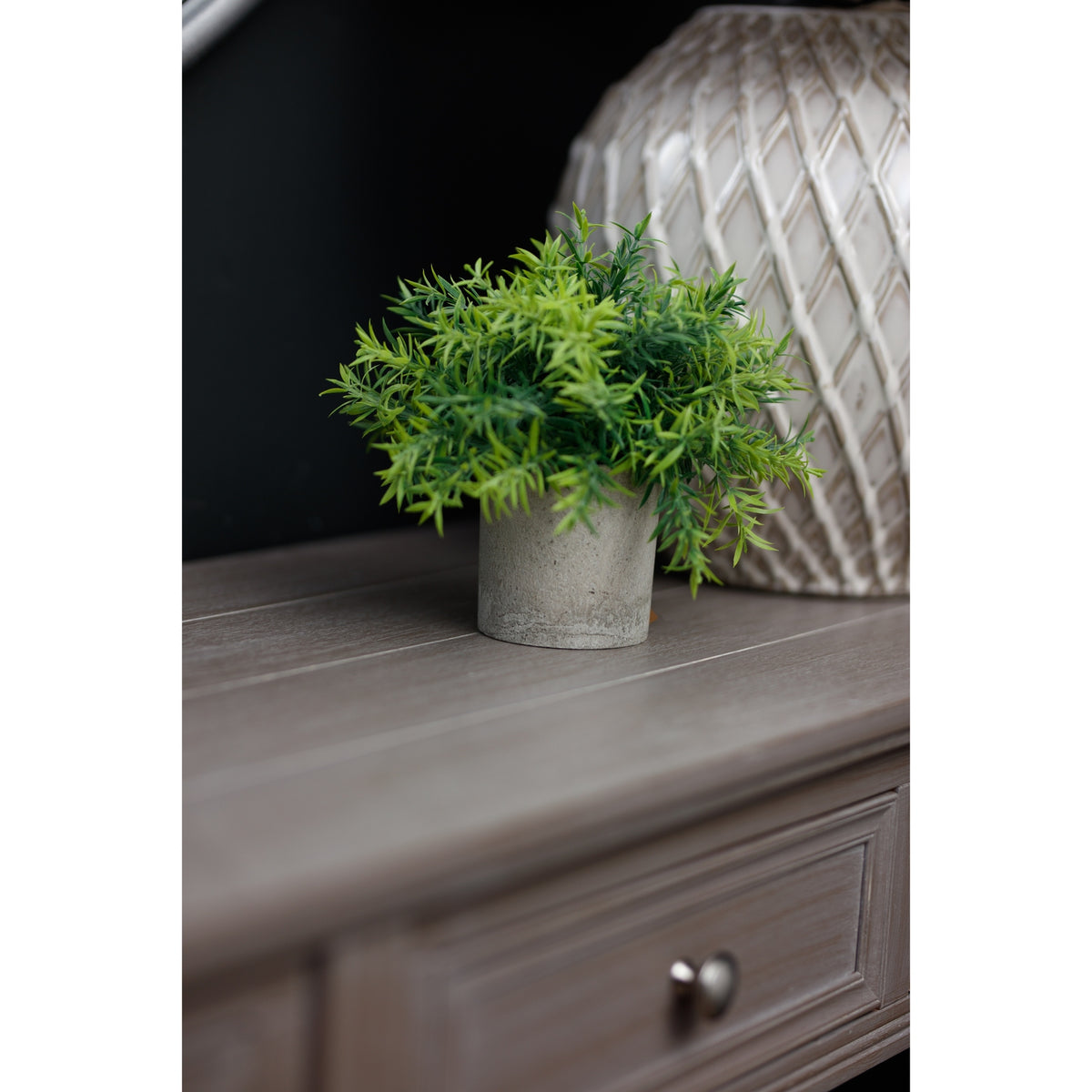 Small Bamboo Plant In Grey Pot by Hill Interiors - image 3
