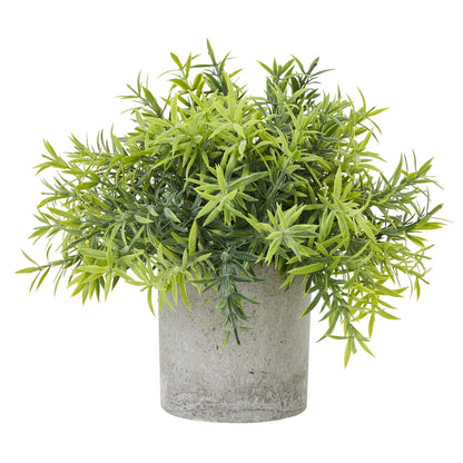 Small Bamboo Plant In Grey Pot by Hill Interiors