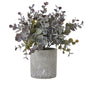 Small Eucalyptus Cinerea Plant In Grey Pot by Hill Interiors