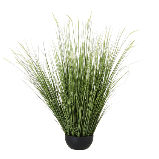 Large Onion Grass Plant In Pot by Hill Interiors
