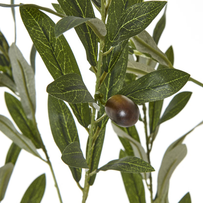 Apulia Olive Tree In White Pot 180Cm by Hill Interiors - image 3