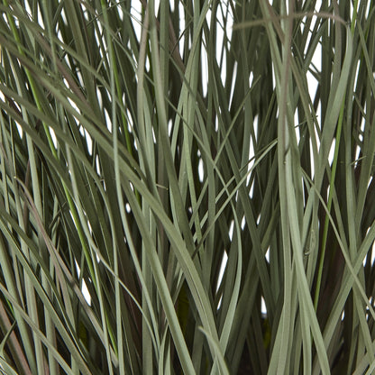 Fountain Grass Plant In Pot by Hill Interiors - image 3
