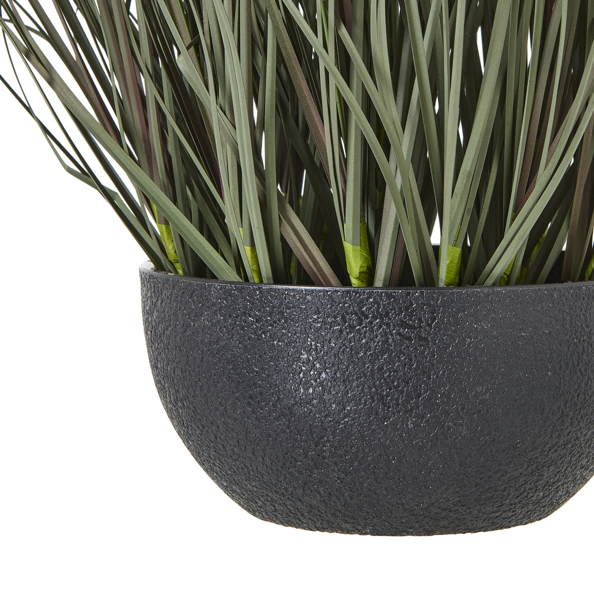 Fountain Grass Plant In Pot by Hill Interiors - image 4