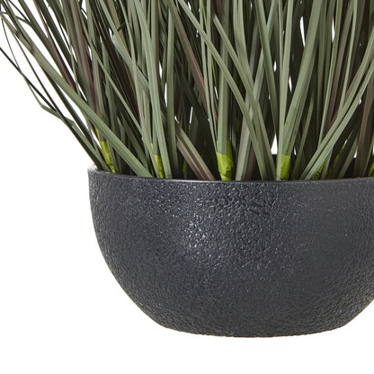 Fountain Grass Plant In Pot by Hill Interiors - image 4