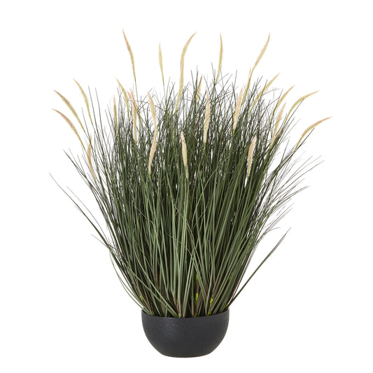 Large Fountain Grass Plant In Pot by Hill Interiors