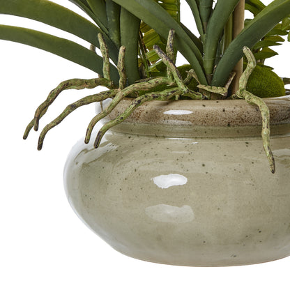 White Vanda Orchid Plant In Ceramic Pot by Hill Interiors - image 3
