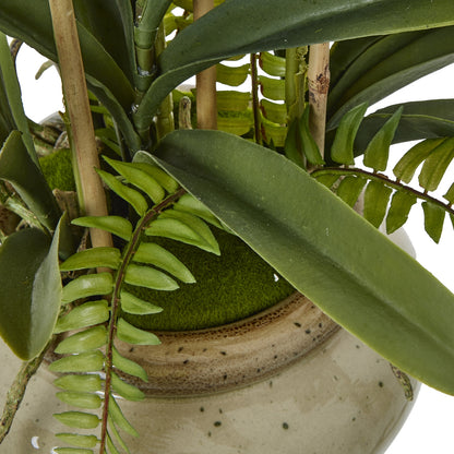 White Vanda Orchid Plant In Ceramic Pot by Hill Interiors - image 4