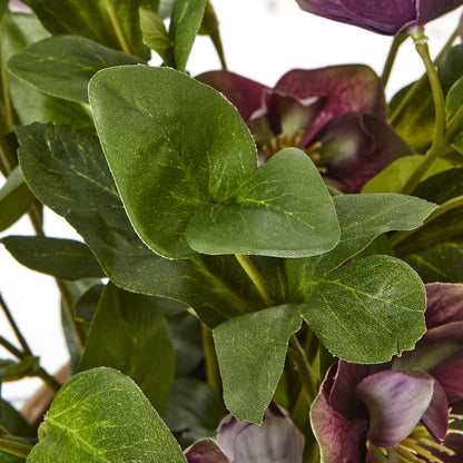 Deep Plum Hellebore Plant In Taupe Pot by Hill Interiors - image 3