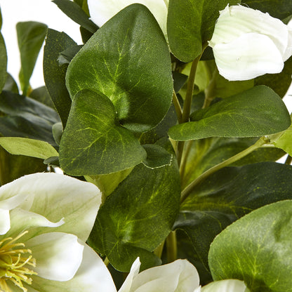 White Hellebore Plant In Grey Pot by Hill Interiors - image 3