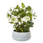 White Hellebore Plant In Grey Pot by Hill Interiors