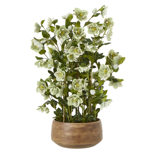 Large Green Hellebore in Taupe Pot by Hill Interiors