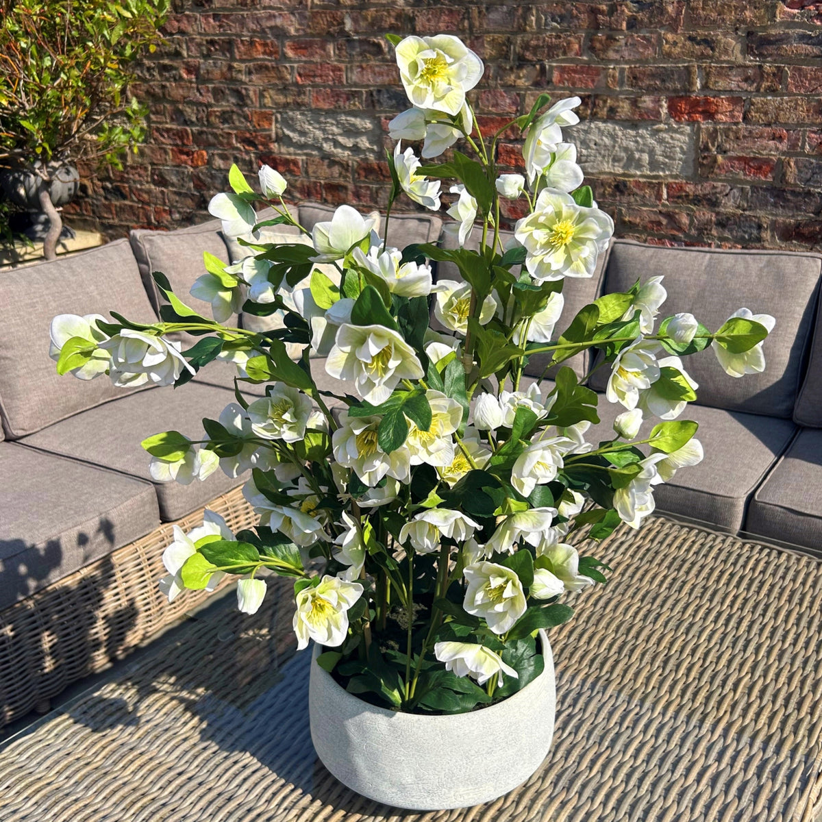 Large White Hellebore In Grey Pot by Hill Interiors - image 2