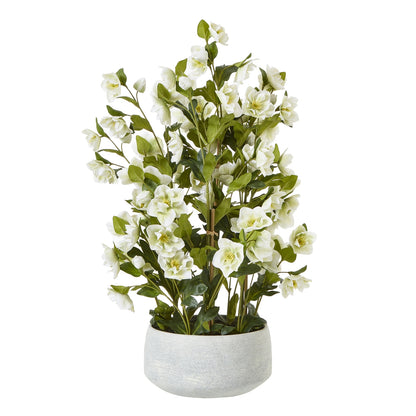 Large White Hellebore In Grey Pot by Hill Interiors