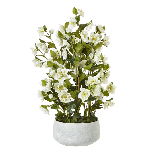 Large White Hellebore In Grey Pot by Hill Interiors