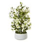 Large White Hellebore In Grey Pot by Hill Interiors