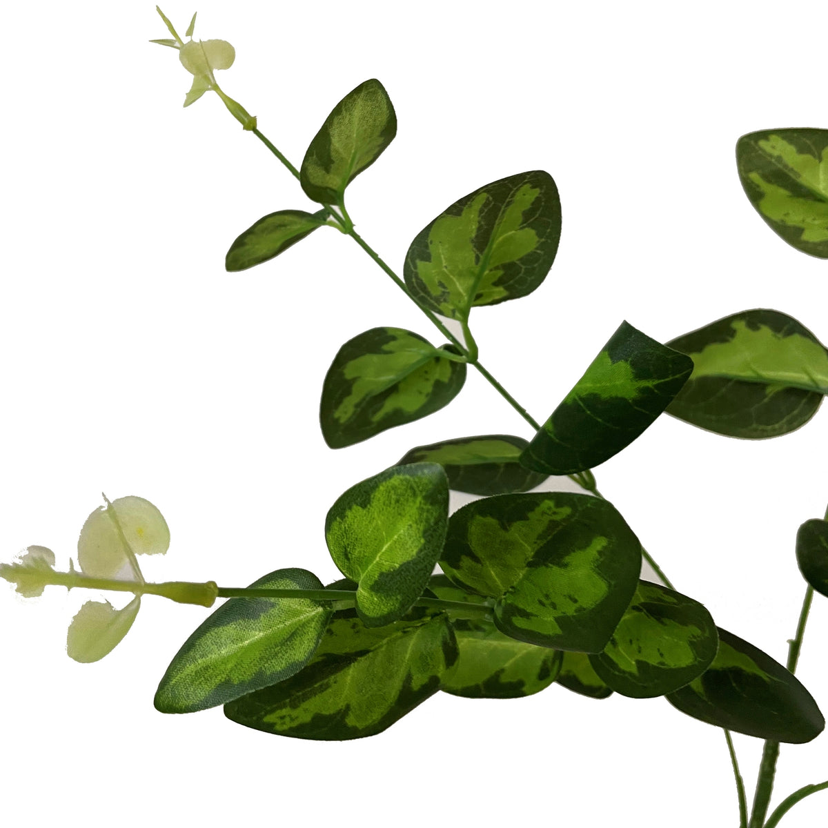 Variegated Leaf Spray by Hill Interiors - image 2