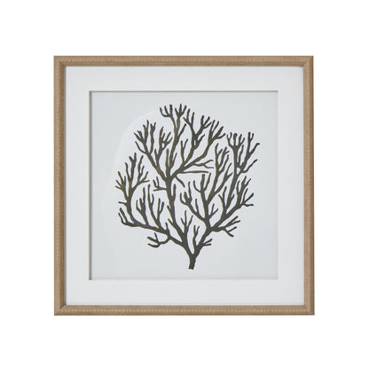 Atol Coral Art Mounted In Beaded Frame by Hill Interiors