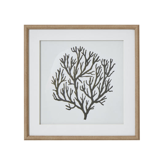 Atol Coral Art Mounted In Beaded Frame by Hill Interiors