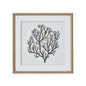 Atol Coral Art Mounted In Beaded Frame by Hill Interiors